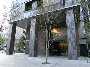 ���_�c�R���ڌv��1