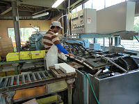 �������������@