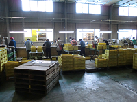 �Z�����B�I